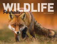 Wildlife Portraits Wall Calendar-Window Ad #7563
