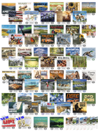 Variety Pack -Spiral Bound Version- Item #7105