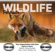 Wildlife Portraits Wall Calendar-Spiral Bound #7063