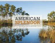 Every Month Imprint - American Splendor Scenic America- # 2507