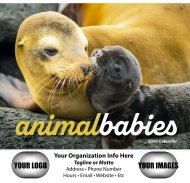 Animal Babies 13 Month Full Size Wall Calendar #890