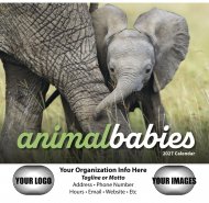 Animal Babies 13 Month Full Size Wall Calendar #890