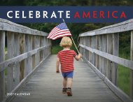 Celebrate America Wall Calendar-Window Ad #7569