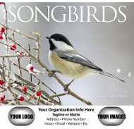 Nature's Songbirds 13-Month Full-Size Wall Calendar #875