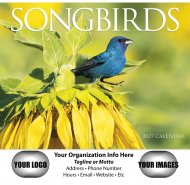 Nature's Songbirds 13-Month Full-Size Wall Calendar #875