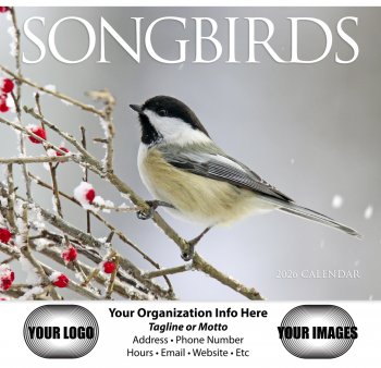 Nature's Songbirds 13-Month Full-Size Wall Calendar #875