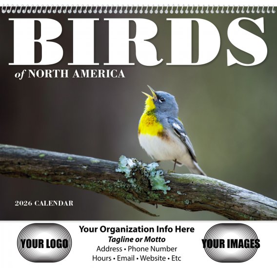 Birds of North America - Spiral Version #7036 - Click Image to Close