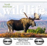 North American WildLife #1801