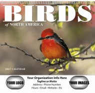 Birds of North America - Spiral Version #7036