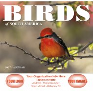 Birds of North America - Stapled Version #7236