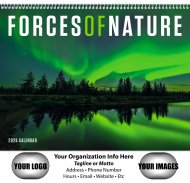 Forces of Nature Wall Calendar- #1705 LOW STOCK