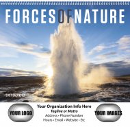 Forces of Nature Wall Calendar- #1705