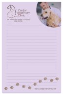 Souvenir® Sticky Note™ 4" x 6" Memo Pad, 25 sheet