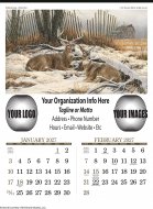 Six (6) Sheet Wildlife Art- #3208