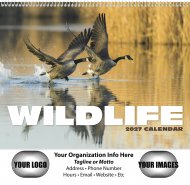 Wildlife 13-Month Full-Size Spiral Wall Calendar- #403