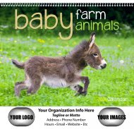 Baby Farm Animals Wall Calendars - Spiral #7020