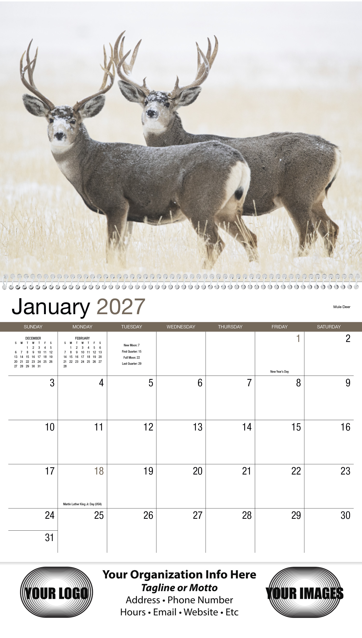 Wildlife 13-Month Full-Size Spiral Wall Calendar- #403 : Imprinted ...