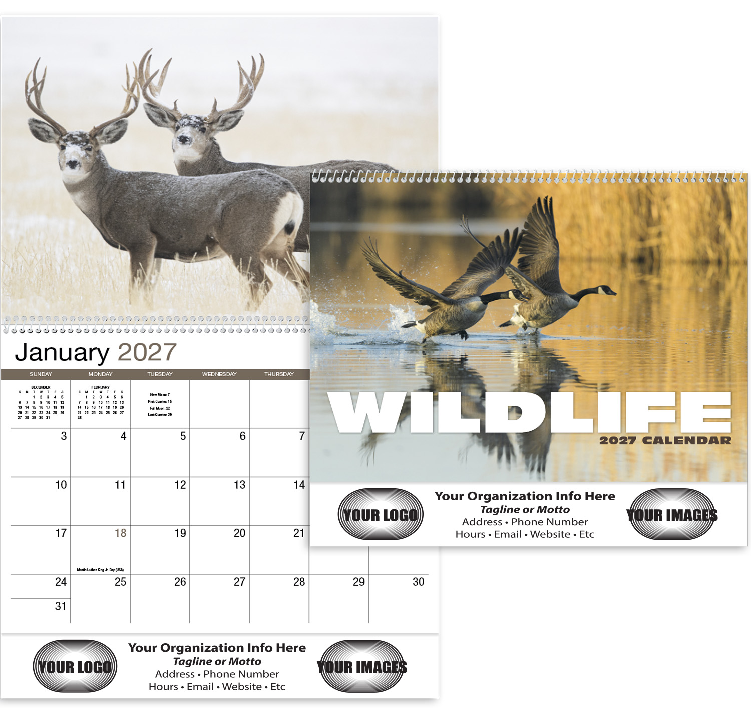 Wildlife 13-Month Full-Size Spiral Wall Calendar- #403 LOW STOCK ...